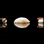 nigiri sushi gourmet en Vitacura
