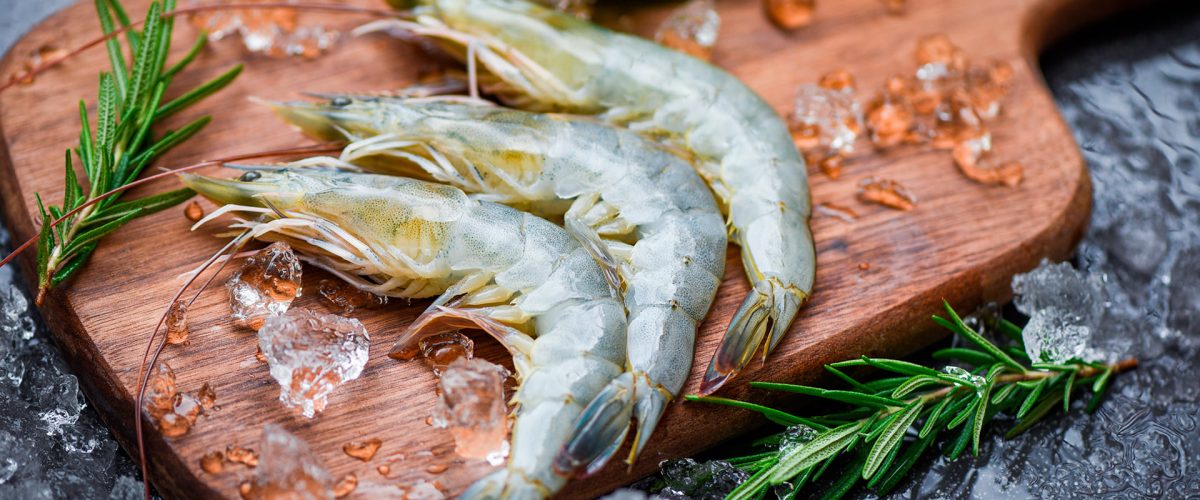 Camarones - Sushi gourmet en Vitacura